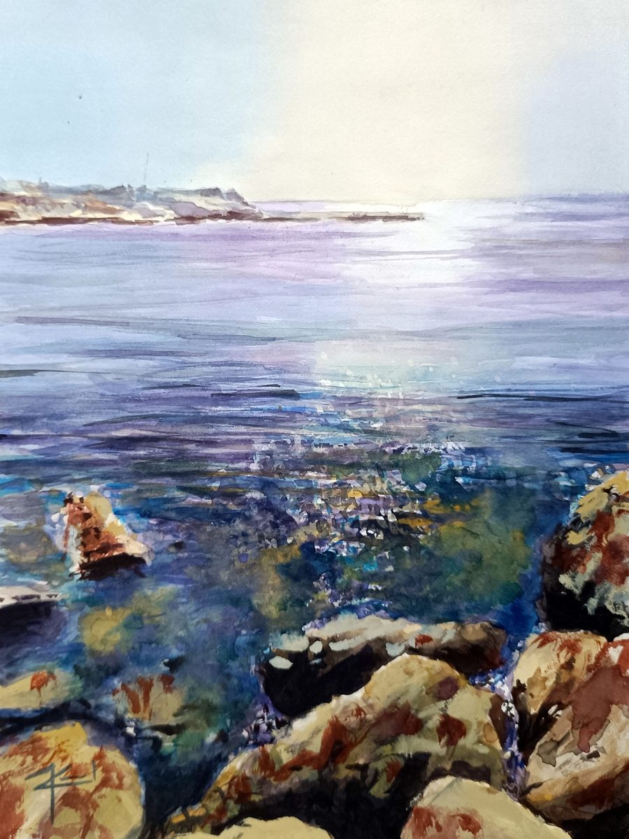 Reflejos en la illeta